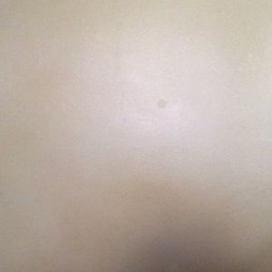 Meet your Posher, Millicent